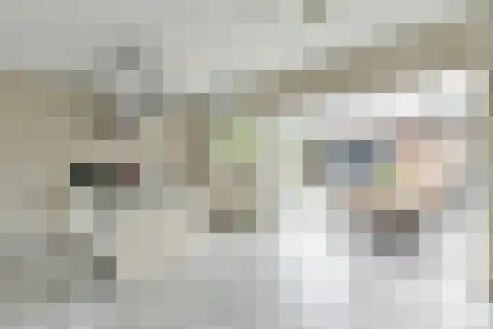 de Dam 70 Blaricum thumbnail 4
