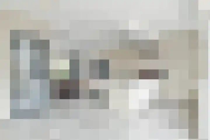 de Dam 70 Blaricum thumbnail 5