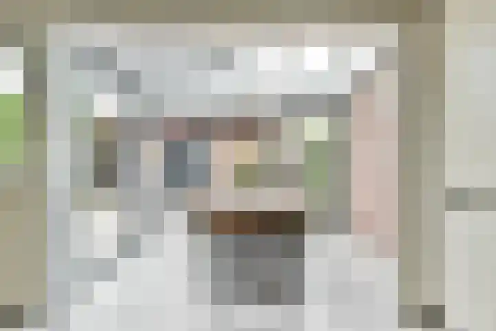 de Dam 70 Blaricum thumbnail 6