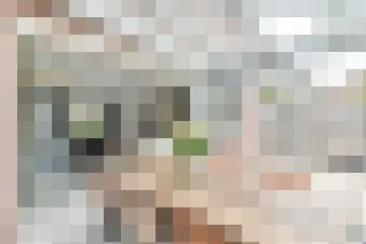 de Dam 70 Blaricum thumbnail 7