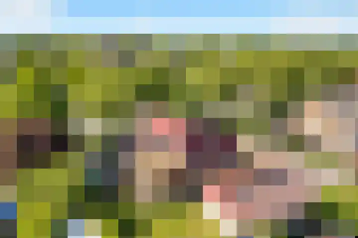 De Dars 2 Schagerbrug