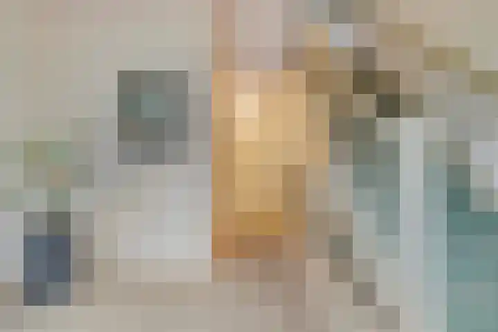de Decanije 30 Vorden thumbnail 10