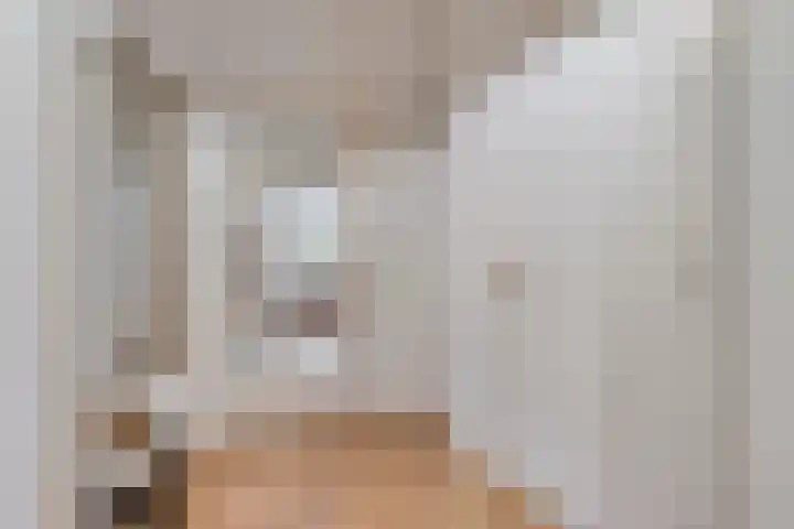 de Decanije 30 Vorden thumbnail 17