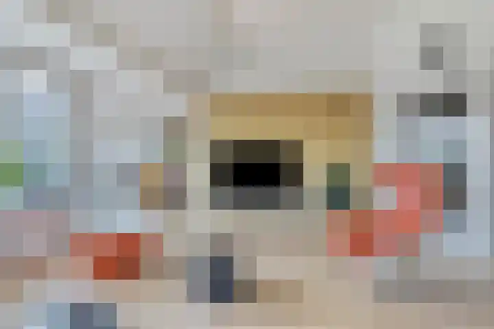 de Decanije 30 Vorden thumbnail 21