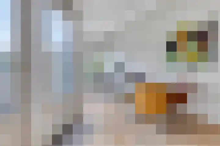 de Decanije 30 Vorden thumbnail 24