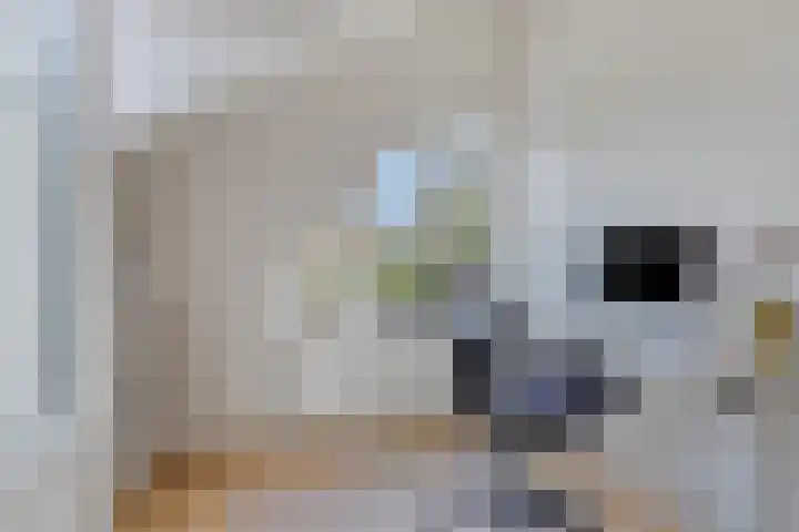 de Decanije 30 Vorden thumbnail 25