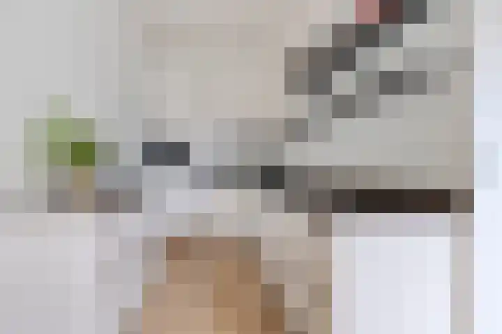 de Decanije 30 Vorden thumbnail 27