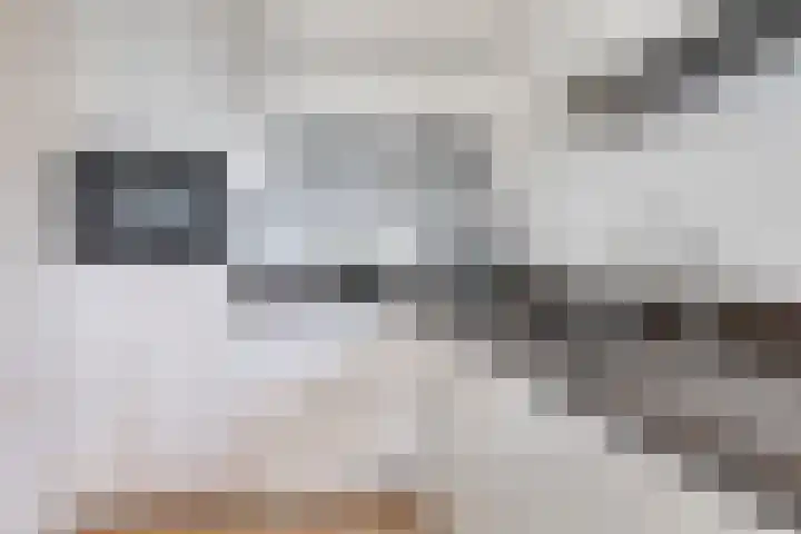 de Decanije 30 Vorden thumbnail 28