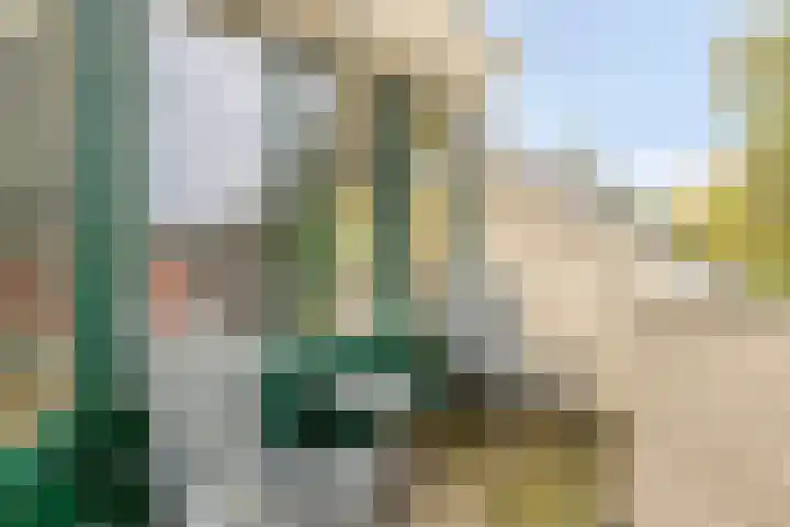 de Decanije 30 Vorden thumbnail 35
