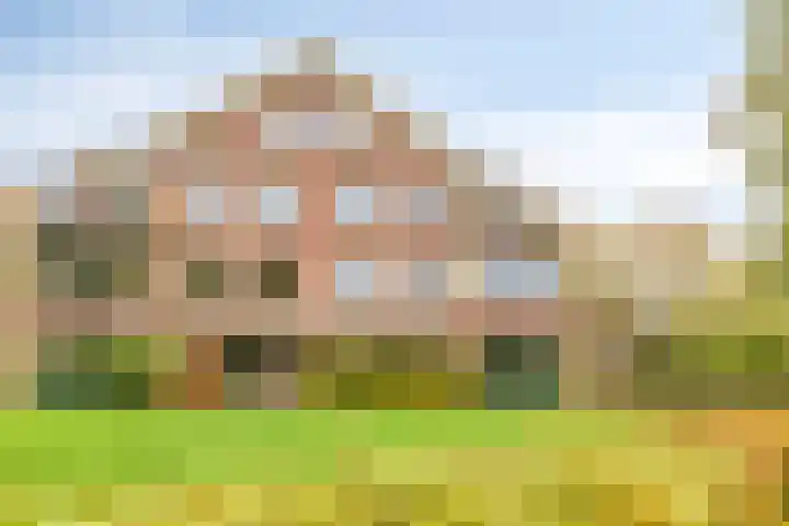 de Decanije 30 Vorden thumbnail 39