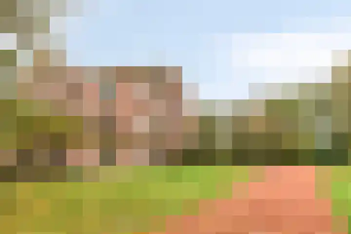 de Decanije 30 Vorden thumbnail 4