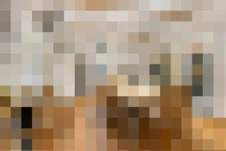 de Decanije 30 Vorden thumbnail 44