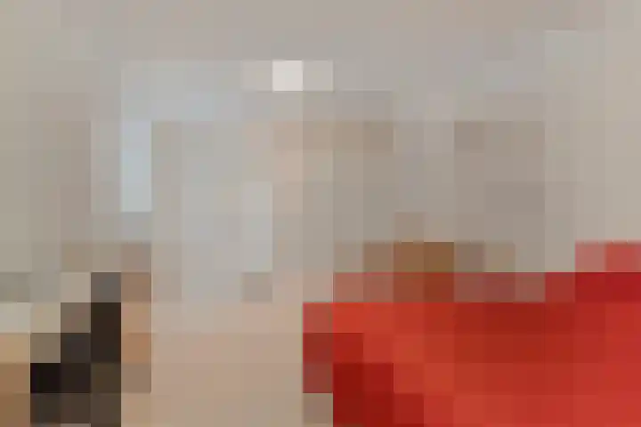 de Decanije 30 Vorden thumbnail 47