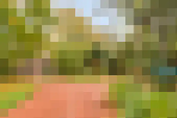 de Decanije 30 Vorden thumbnail 5