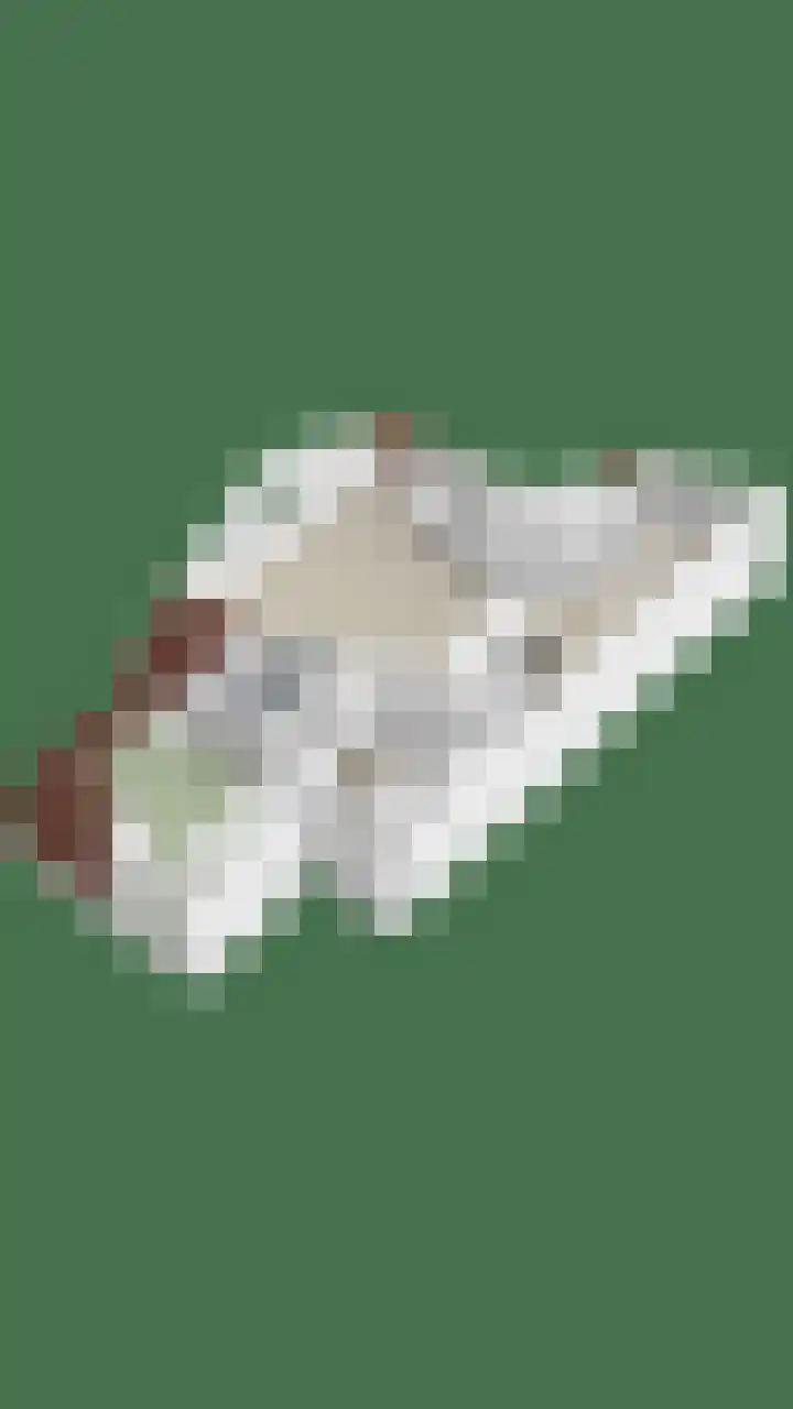 de Decanije 30 Vorden thumbnail 58