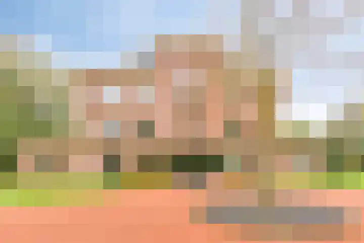 de Decanije 30 Vorden thumbnail 6