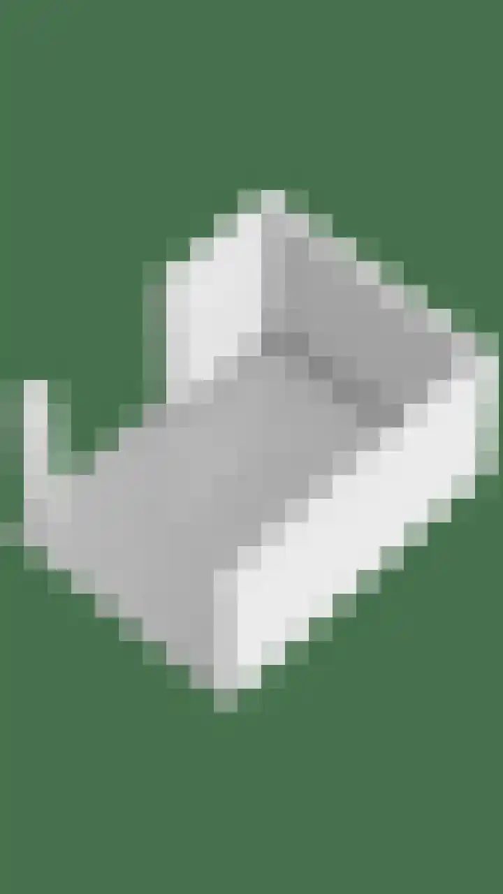 de Decanije 30 Vorden thumbnail 60