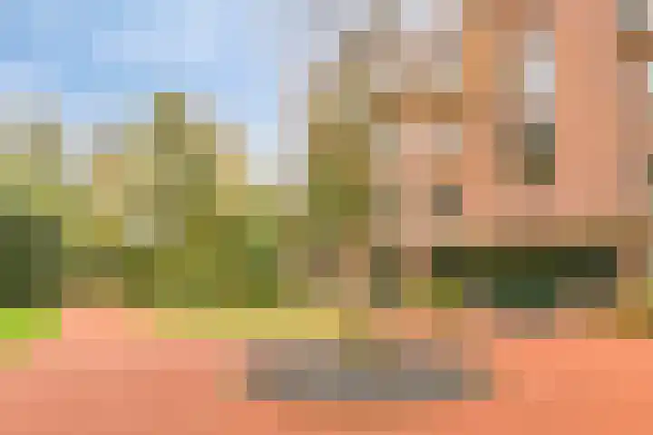 de Decanije 30 Vorden thumbnail 7