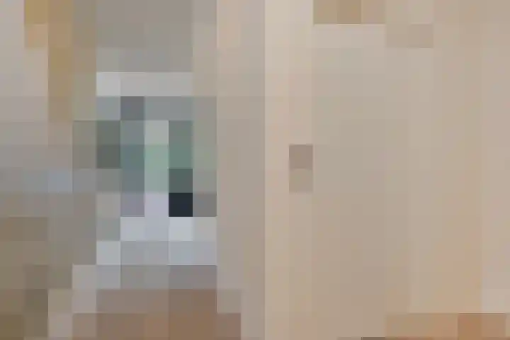 de Decanije 30 Vorden thumbnail 9