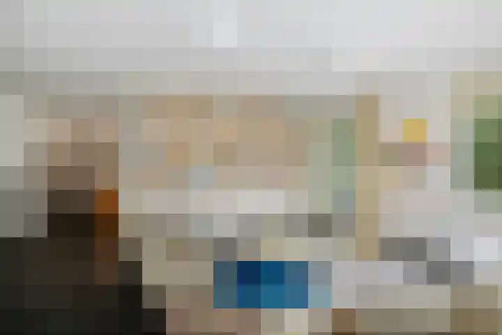 de Decanije 41 Vorden thumbnail 11