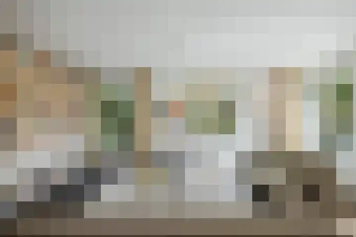 de Decanije 41 Vorden thumbnail 12