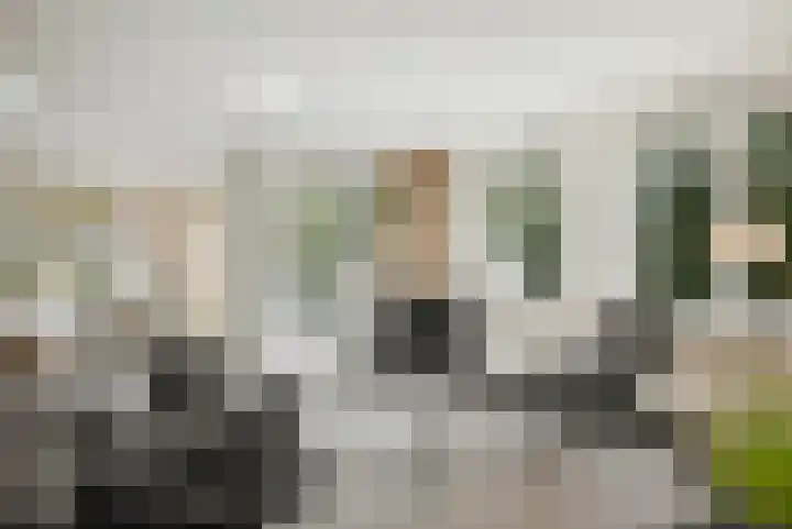 de Decanije 41 Vorden thumbnail 14