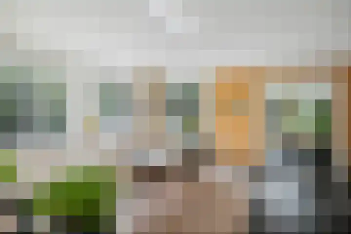 de Decanije 41 Vorden thumbnail 16