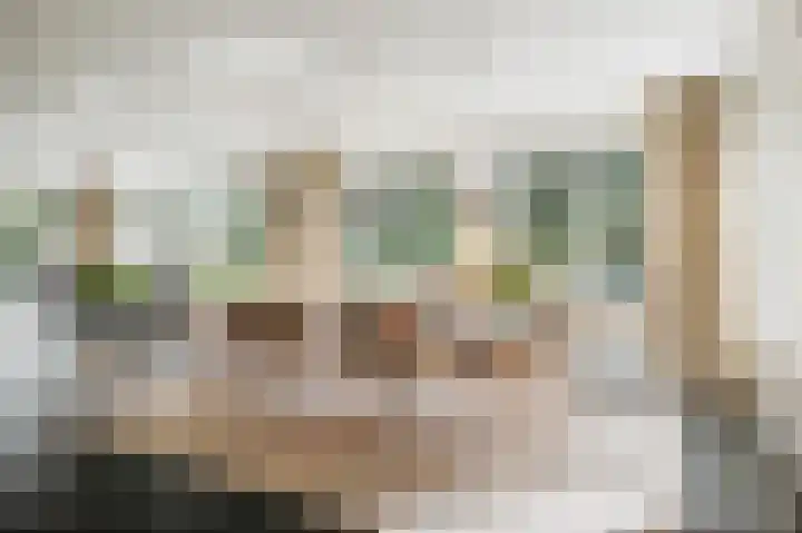de Decanije 41 Vorden thumbnail 17