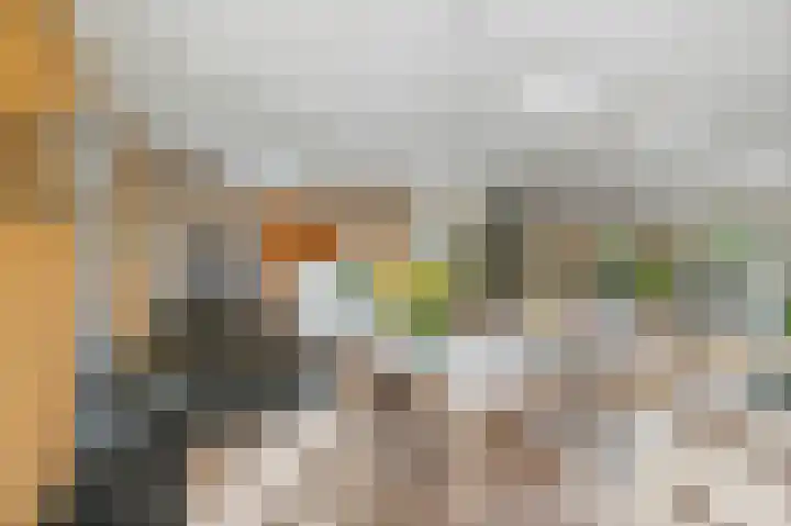de Decanije 41 Vorden thumbnail 18