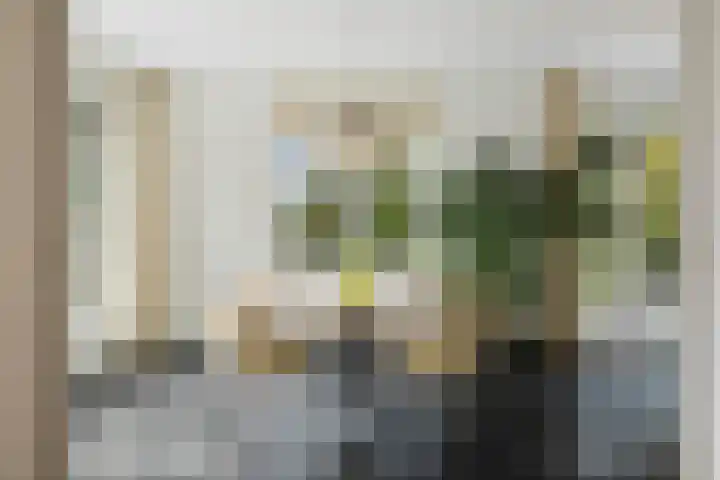 de Decanije 41 Vorden thumbnail 19