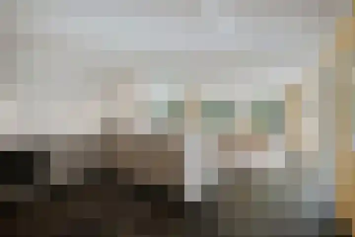 de Decanije 41 Vorden thumbnail 25