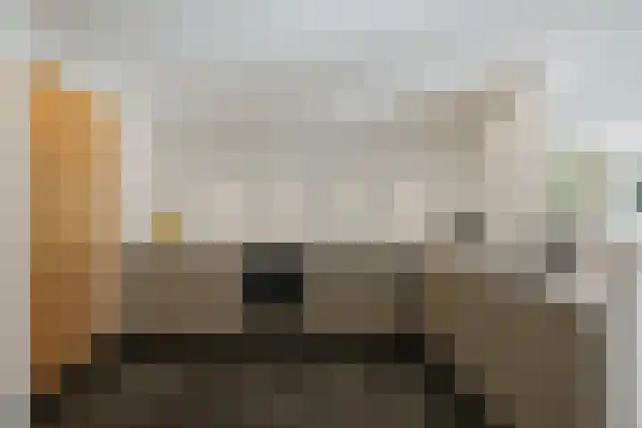 de Decanije 41 Vorden thumbnail 26