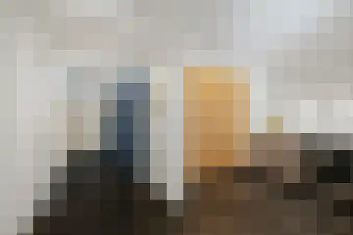 de Decanije 41 Vorden thumbnail 27