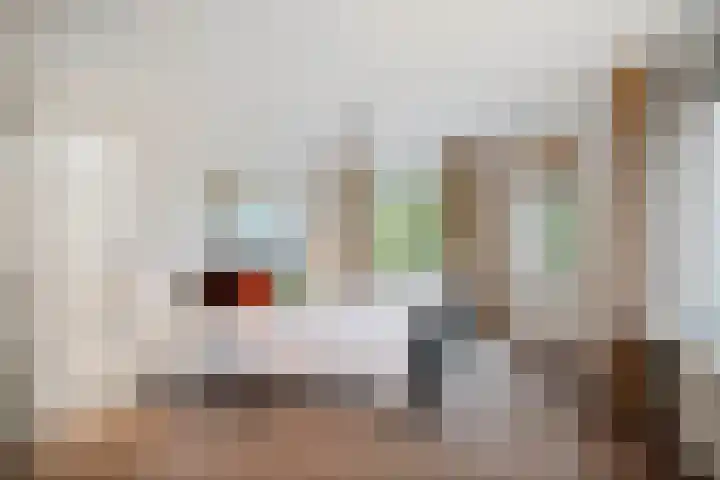 de Decanije 41 Vorden thumbnail 29