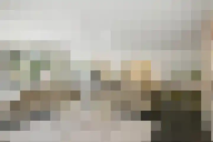 de Decanije 41 Vorden foto 3