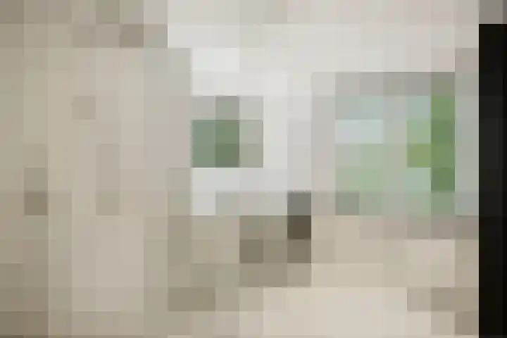 de Decanije 41 Vorden thumbnail 30