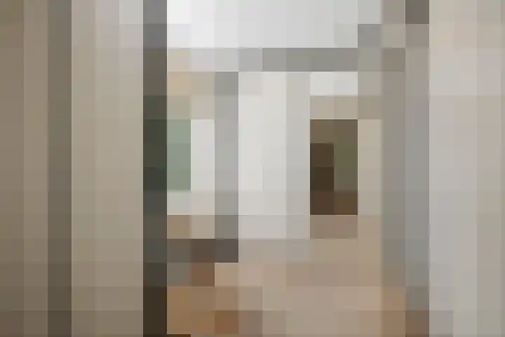 de Decanije 41 Vorden thumbnail 34