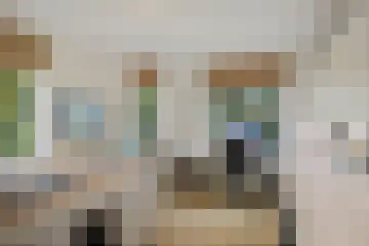 de Decanije 41 Vorden thumbnail 35