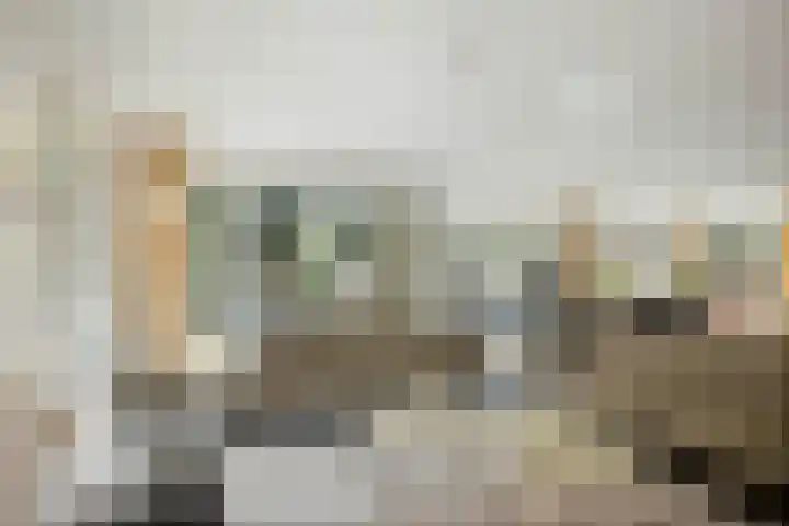 de Decanije 41 Vorden thumbnail 4