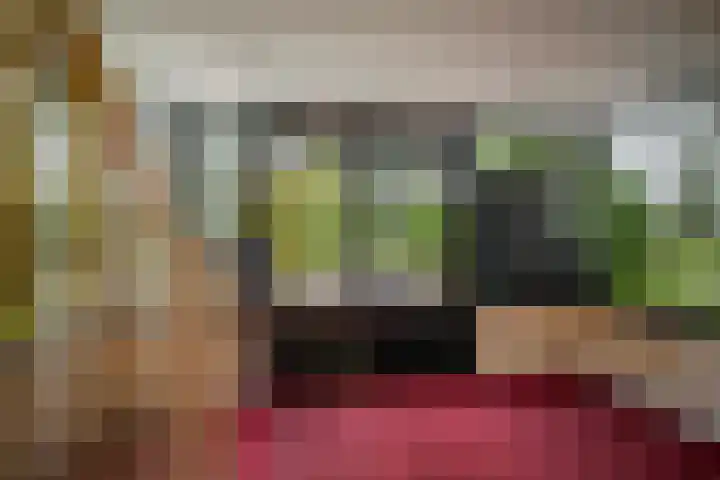 de Decanije 41 Vorden thumbnail 44