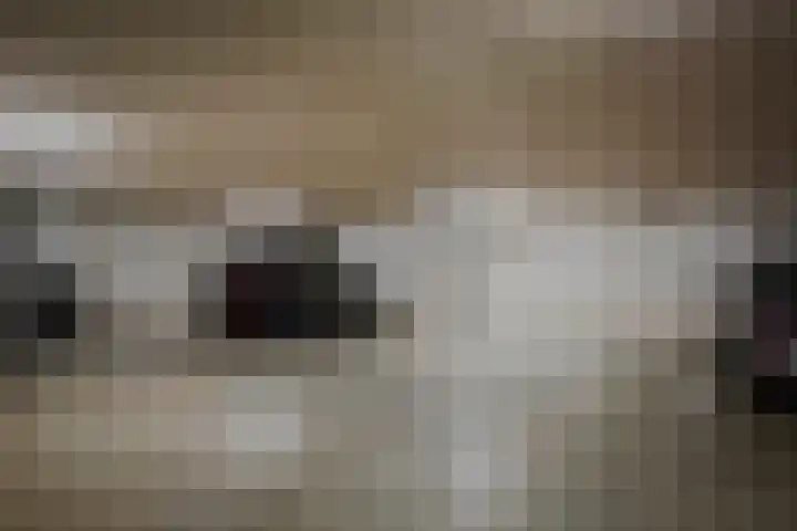 de Decanije 41 Vorden thumbnail 47