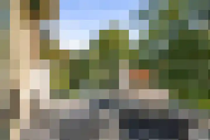 de Decanije 41 Vorden thumbnail 5