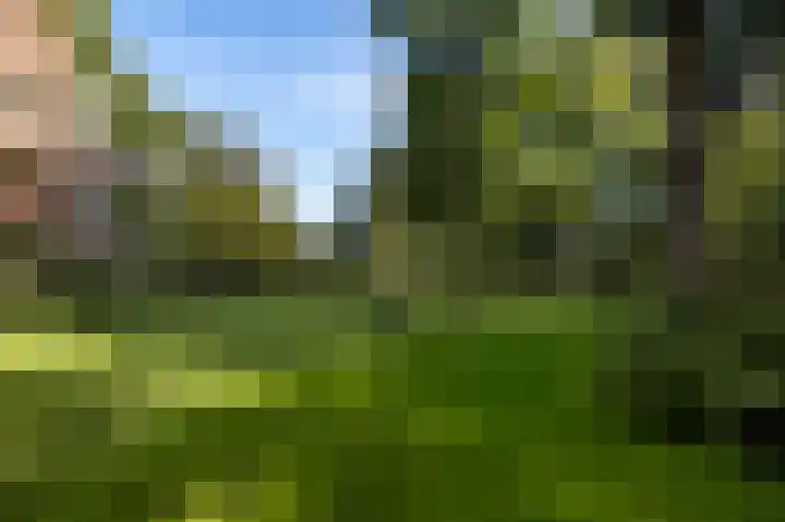 de Decanije 41 Vorden thumbnail 53