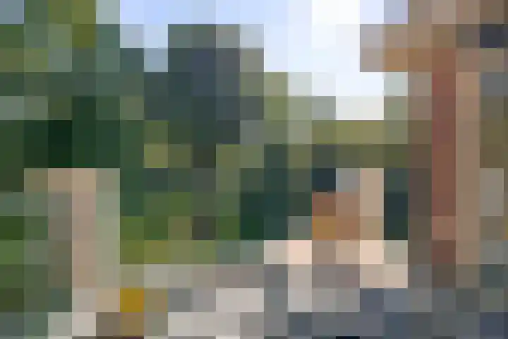 de Decanije 41 Vorden thumbnail 6