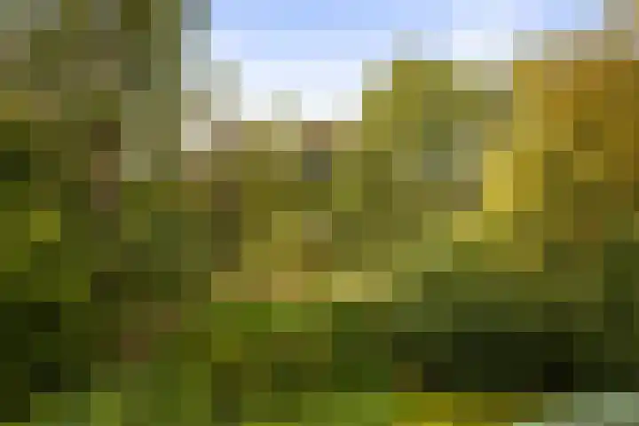 de Decanije 41 Vorden thumbnail 7