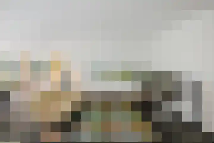 de Decanije 41 Vorden thumbnail 9