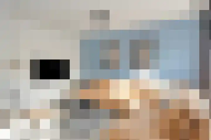 De Deel 1 Biddinghuizen thumbnail 14