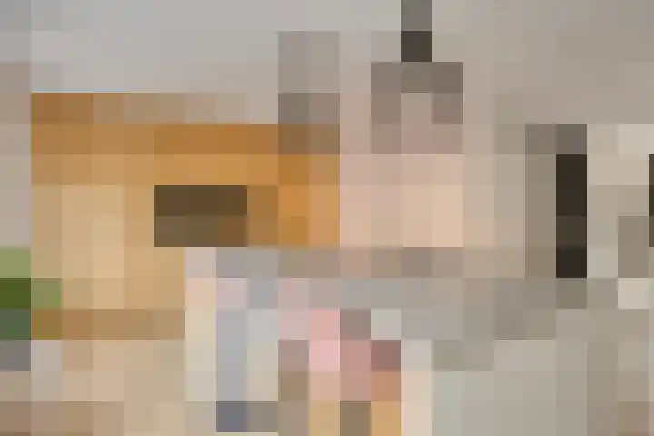 De Deel 1 Biddinghuizen thumbnail 18