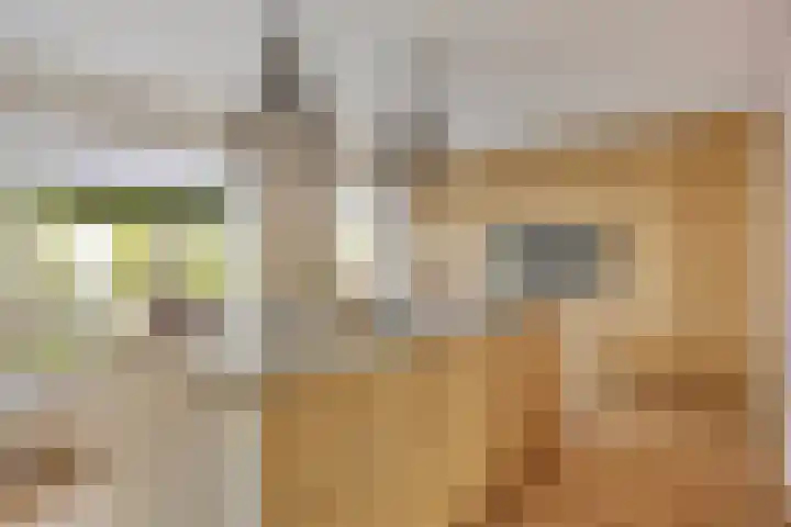 De Deel 1 Biddinghuizen foto 2