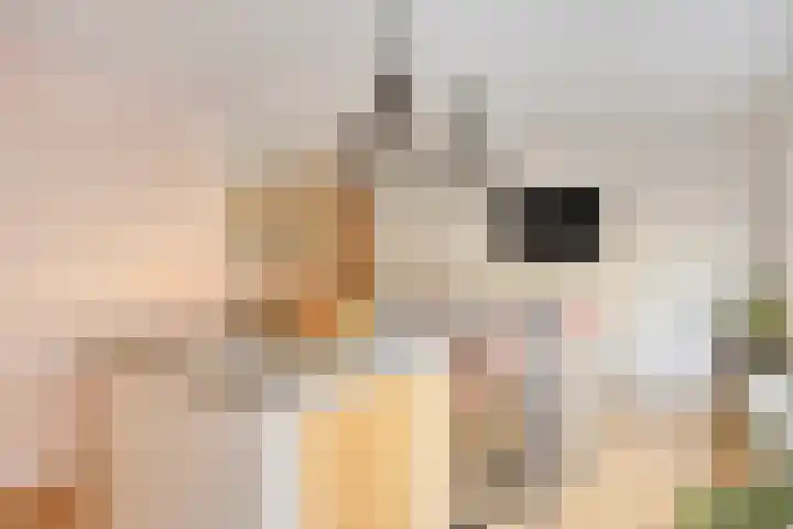 De Deel 1 Biddinghuizen thumbnail 20